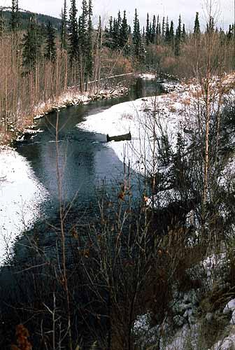 Utopia Creek